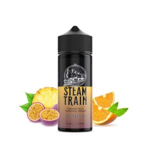 Destination 30/120ML by Steam Train