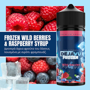 Frozen Wild Berries & Raspberry Syrup 25/120ML By DÉJÀVU