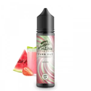 Turn Out 20/60ML by Steam Train