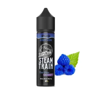 The Blue Comet STEAM TRAIN